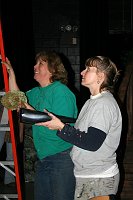 BRIGADOON 08 029